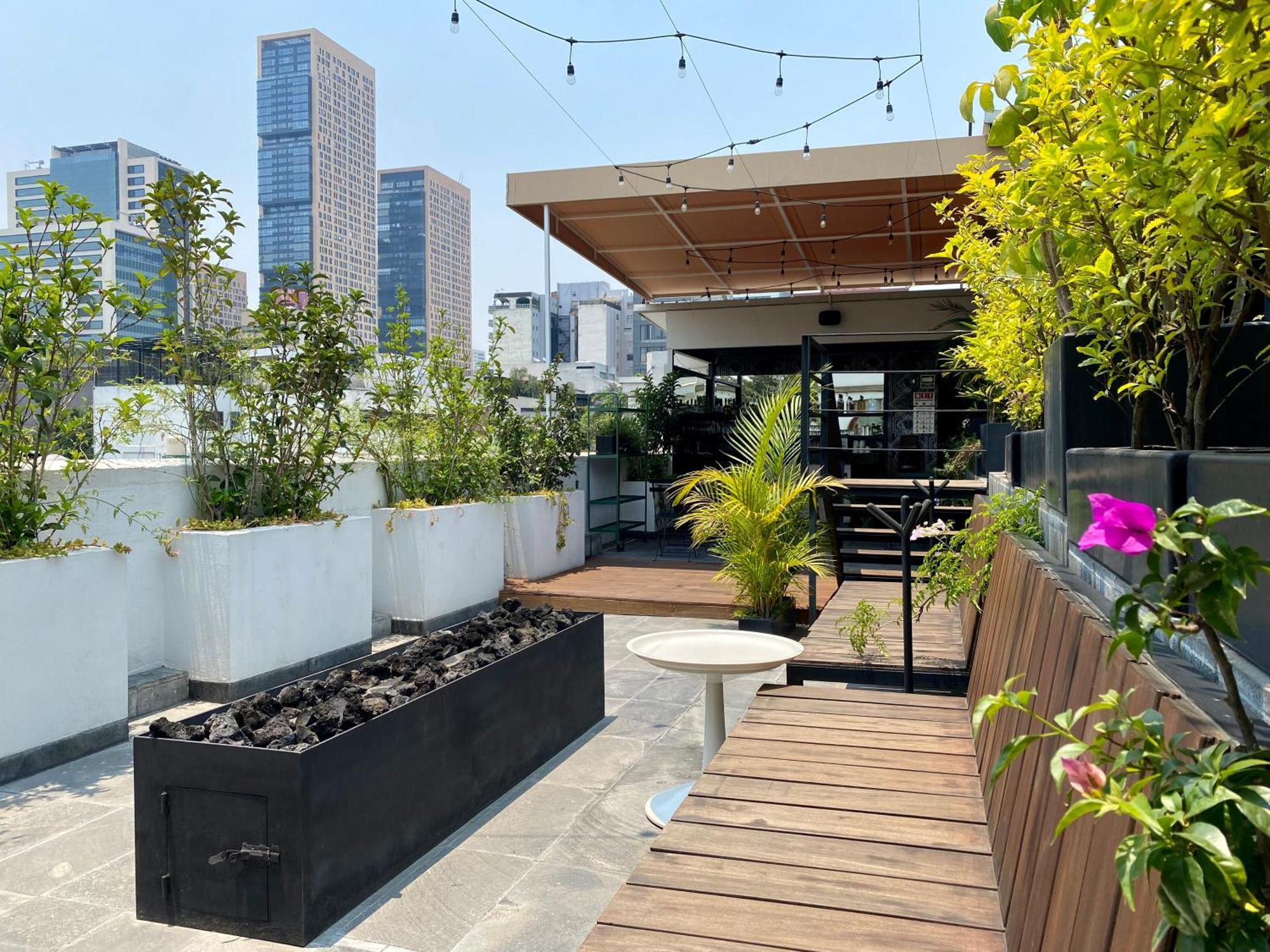 Pug Seal Polanco Anatole France — Photos 1